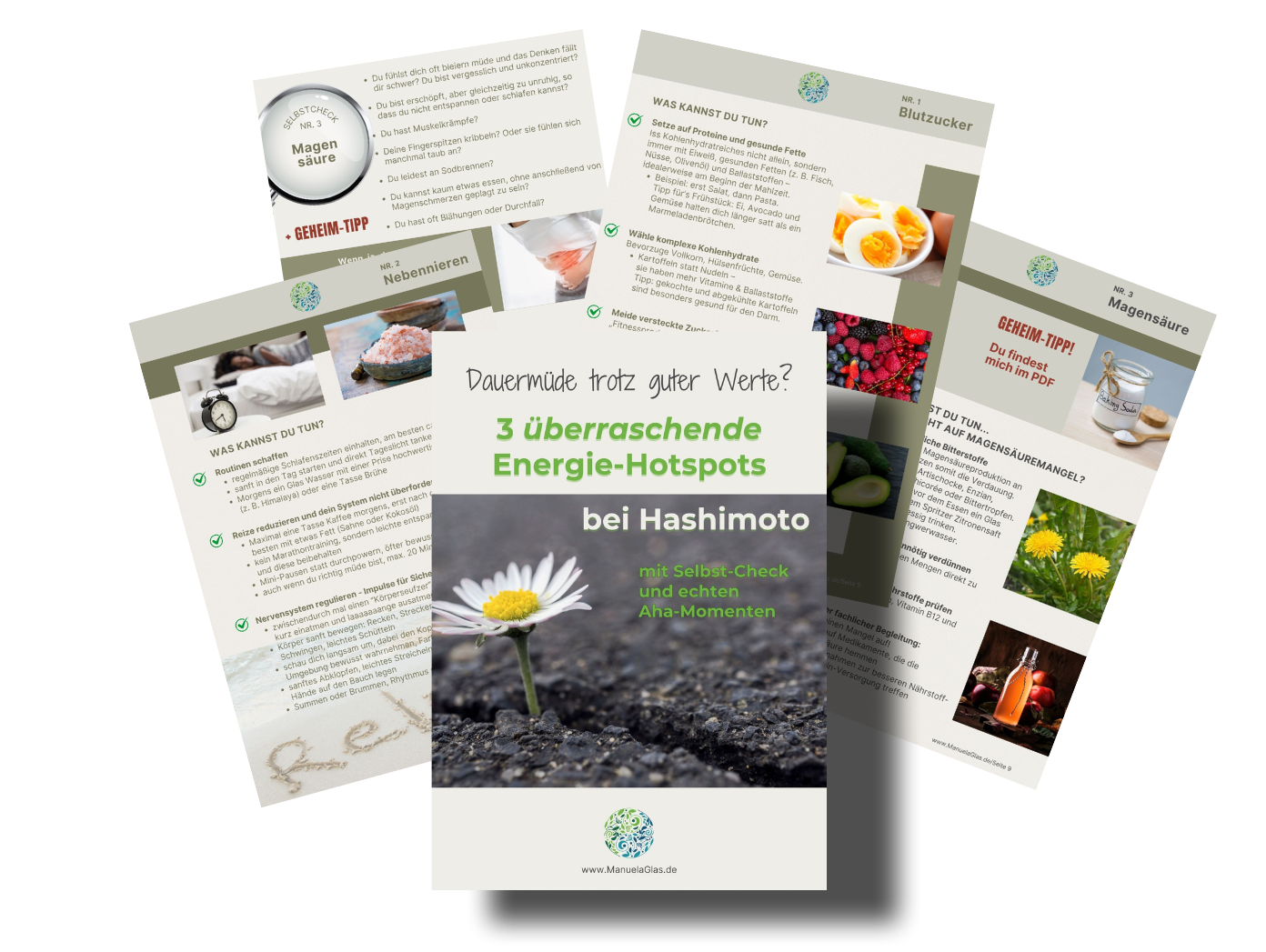 Darstellung des Praxis-Guides 3 überraschende Energie-Hotspots bei Hashimoto – zu sehen sind Titelseite und mehrere Innenseiten mit Tipps, Praxis-Check und Aha-Effekt